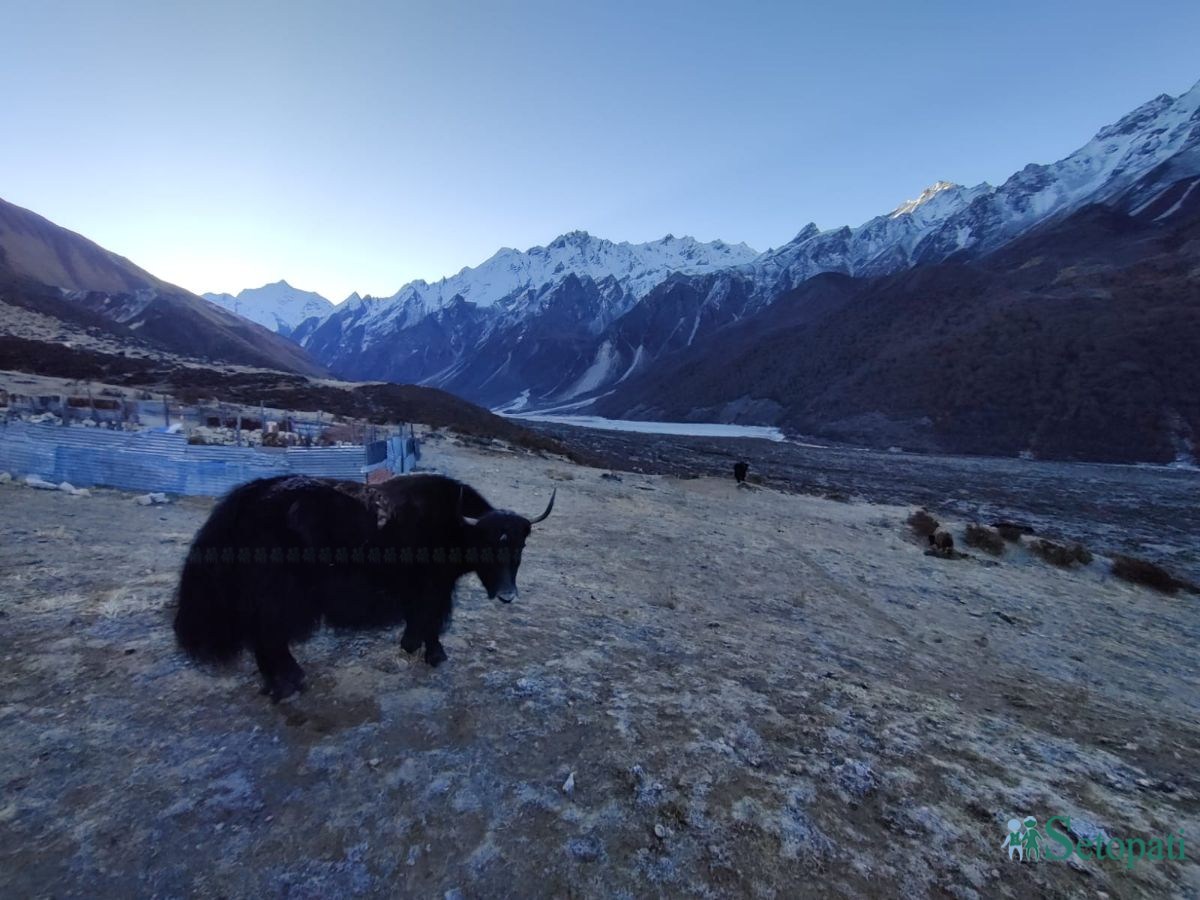 langtang (8).jpeg